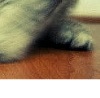 Альбіна Фурдига фотография #44 (источник - https://vk.com/id118152546)