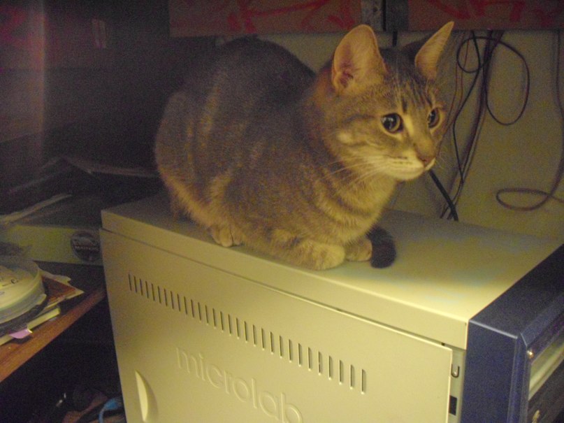 Максим Савин фотография #24