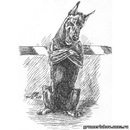 Фотография Бородина Вадика