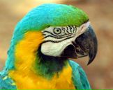 Фотография Никулиной Надежды