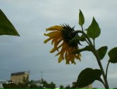 Фотография Шадрина Владислава