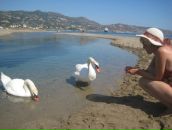 Наталия Радюхина фотография #18 (источник - https://vk.com/id4506582)