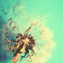 Фотография Мурзаевой Екатерины