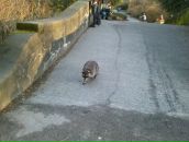 Анна Билгин фотография #24 (источник - https://vk.com/id2333235)