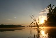 Максим Терентьев фотография #25 (источник - https://vk.com/id961502)