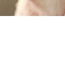 Альона Кіссс фотография #27 (источник - https://vk.com/id112118890)