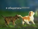 Діма Вознюк фотография #27 (источник - https://vk.com/id150503714)