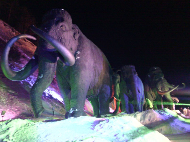 Юра Башков фотография #33