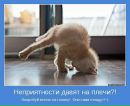 Елена Паєнок фотография #49 (источник - https://vk.com/id94422264)