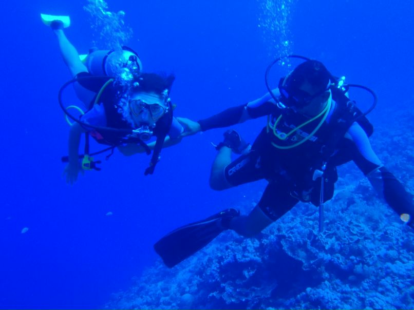 Vit Mi фотография #14