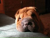 Фотография Айнетдиновой Юлии