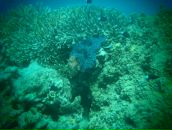 Евгений Мурышкин фотография #18 (источник - https://vk.com/id107583)