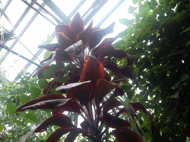 Роберт Бойко фотография #26