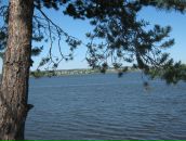 Фотография Плюснина Дмитрия