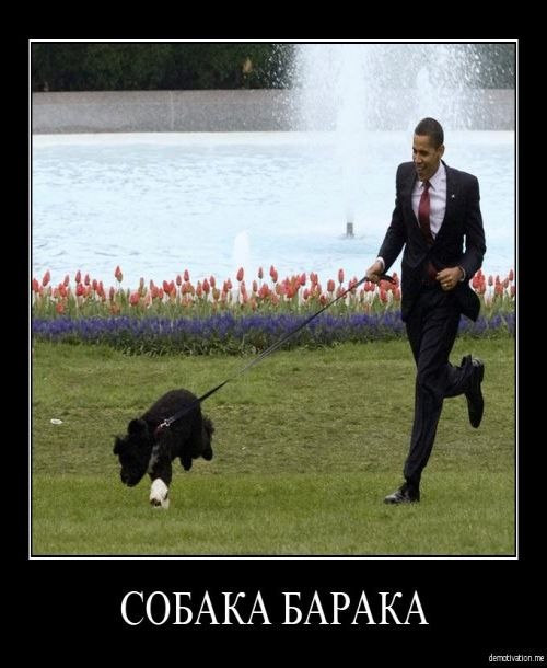 Иван Бояркин фотография #36