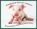 Петро Щуклін фотография #5 (источник - https://vk.com/id148344161)