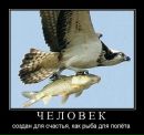 Ангеліна Чайка фотография #1