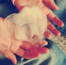 Вікторія Павлюк фотография #33 (источник - https://vk.com/id160015206)