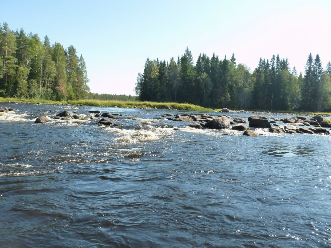 Дмитрий Когольницкий фотография #27