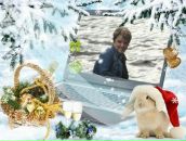 Фотография Никитенковой Людмилы