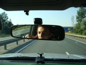 Фотография Буйневича Сергея