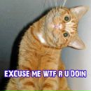 Фотография Ларионова Андрея