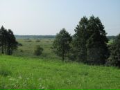 Лариса Йолкіна фотография #26 (источник - https://vk.com/id10384967)