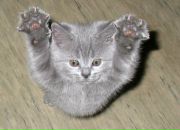 Фотография Графова Алексея