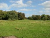 Ромул Рем фотография #15 (источник - https://vk.com/id4353335)