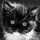 Діана Береза фотография #13 (источник - https://vk.com/id162546834)