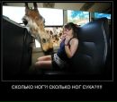 Фотография Газизова Джалиля