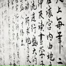 Nn Nn фотография #27 (источник - https://vk.com/id2185581)