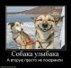  фотография #29