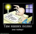 Андрей Чеснюк фотография #36 (источник - https://vk.com/id9616680)