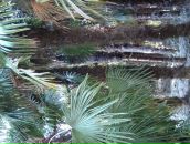 Андрій Сидор фотография #25 (источник - https://vk.com/id72877910)