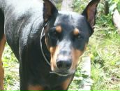 Фотография Арнаут Александры