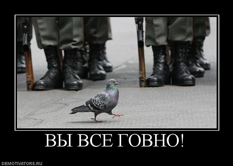 Давид Коява фотография #49