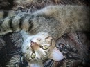 Фотография Мухамадуллиной Розалии