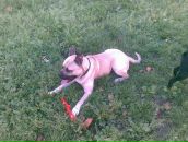 Дмитрий Мишин фотография #40 (источник - https://vk.com/id3219742)