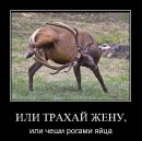 Андрій Гойнацький фотография #39 (источник - https://vk.com/id18357030)