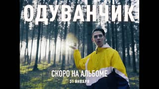 Премьера! Тима Белорусских - Одуванчик (сниппет с альбома 31.01.20)