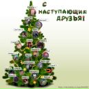 Фотография Кушнарь Анастасии