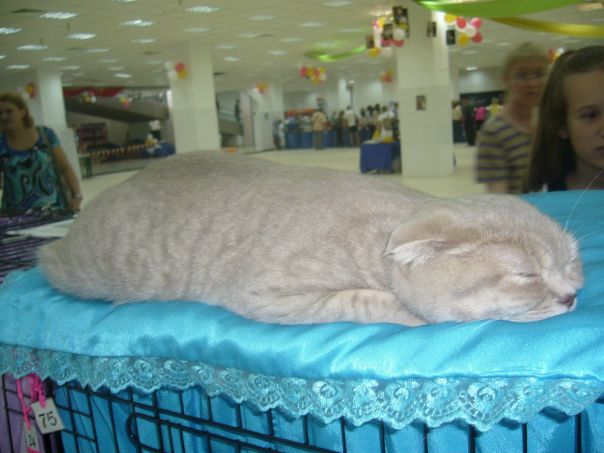 №19, Марина Котова, Тольятти №19, Марина Котова, Тольятти