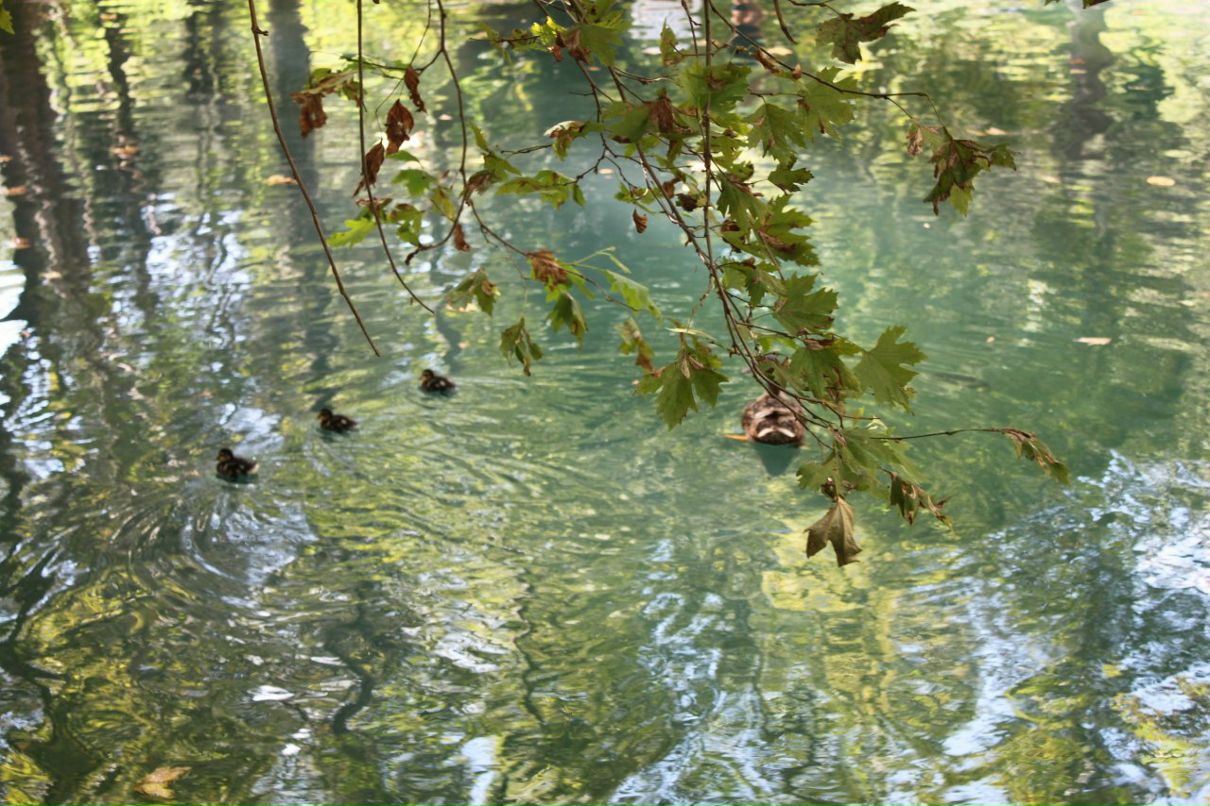 Тимур Бабаев фотография #35