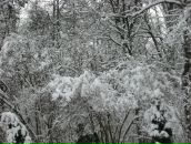 Софія Гапонюк фотография #39 (источник - https://vk.com/id28712059)