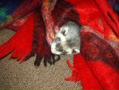 Дима Сергеевич фотография #48 (источник - https://vk.com/id1479155)