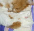 Фотография Пучининой Виктории