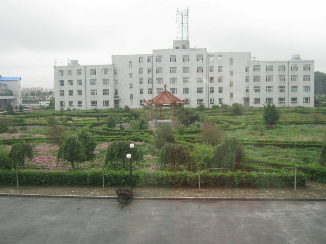 Алекса Ма фотография #22