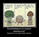 Фотография Зубаеровой Алины