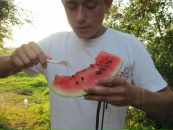 Коля Капінус фотография #1